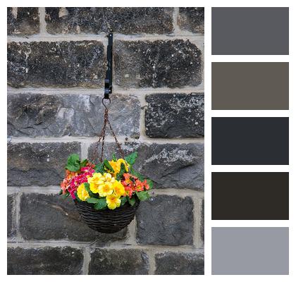 Pot Flowers Wall Image