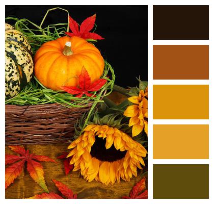Color Basket Autumn Image