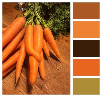 Vegetables Vitamins Carrots Image