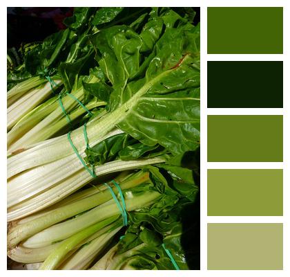 Vegetables Green Chard Image