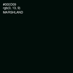 #000D09 - Marshland Color Image