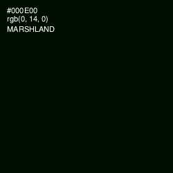 #000E00 - Marshland Color Image