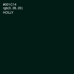 #001C14 - Holly Color Image