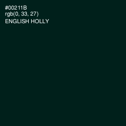 #00211B - English Holly Color Image