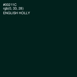 #00211C - English Holly Color Image