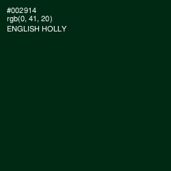#002914 - English Holly Color Image