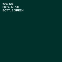 #00312B - Bottle Green Color Image