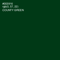 #003916 - County Green Color Image