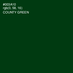 #003A10 - County Green Color Image