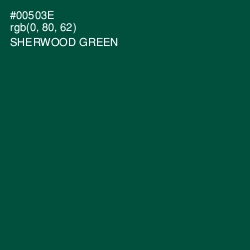 #00503E - Sherwood Green Color Image