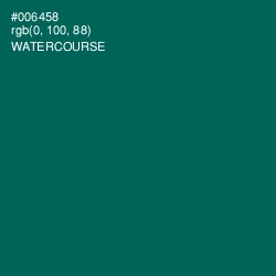 #006458 - Watercourse Color Image