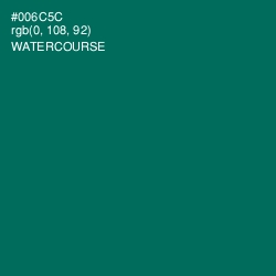 #006C5C - Watercourse Color Image