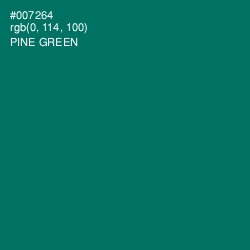 #007264 - Pine Green Color Image