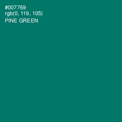 #007769 - Pine Green Color Image