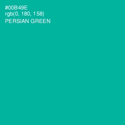 #00B49E - Persian Green Color Image