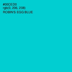 #00CED0 - Robin's Egg Blue Color Image