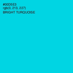 #00D5E3 - Bright Turquoise Color Image