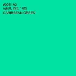#00E1A2 - Caribbean Green Color Image