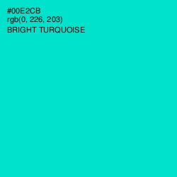 #00E2CB - Bright Turquoise Color Image