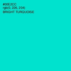 #00E2CC - Bright Turquoise Color Image