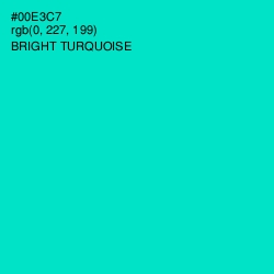 #00E3C7 - Bright Turquoise Color Image