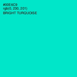 #00E6C9 - Bright Turquoise Color Image