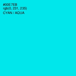 #00E7EB - Cyan / Aqua Color Image