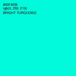 #00FADB - Bright Turquoise Color Image