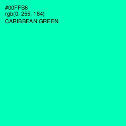 #00FFB8 - Caribbean Green Color Image