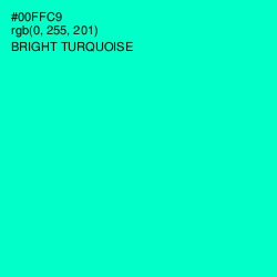 #00FFC9 - Bright Turquoise Color Image