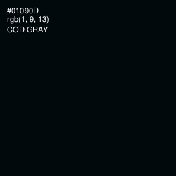 #01090D - Cod Gray Color Image