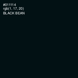 #011114 - Black Bean Color Image