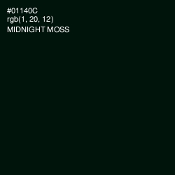 #01140C - Midnight Moss Color Image