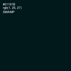#01191B - Swamp Color Image