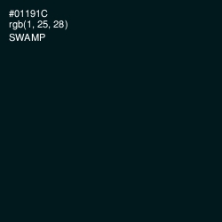 #01191C - Swamp Color Image