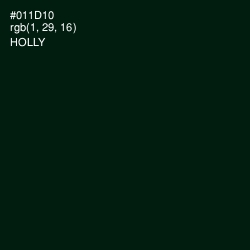 #011D10 - Holly Color Image
