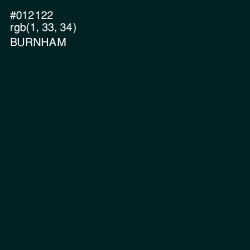 #012122 - Burnham Color Image