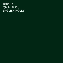 #012614 - English Holly Color Image