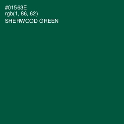 #01563E - Sherwood Green Color Image