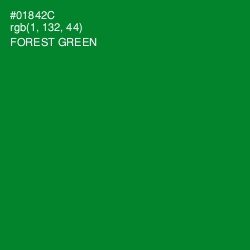 #01842C - Forest Green Color Image