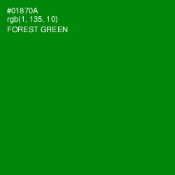 #01870A - Forest Green Color Image