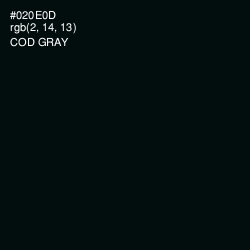 #020E0D - Cod Gray Color Image
