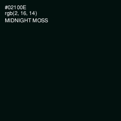#02100E - Midnight Moss Color Image