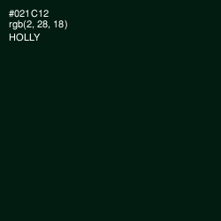 #021C12 - Holly Color Image