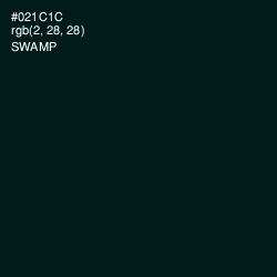#021C1C - Swamp Color Image