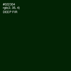 #022304 - Deep Fir Color Image