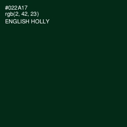 #022A17 - English Holly Color Image
