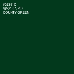 #02391C - County Green Color Image