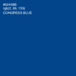 #02458B - Congress Blue Color Image