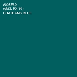 #025F60 - Chathams Blue Color Image